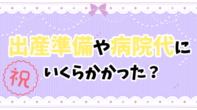 家計簿 出産準備や病院代はいくらかかる 妊娠発覚 子供が生まれる前まで 年収0万円でも子育てしたい